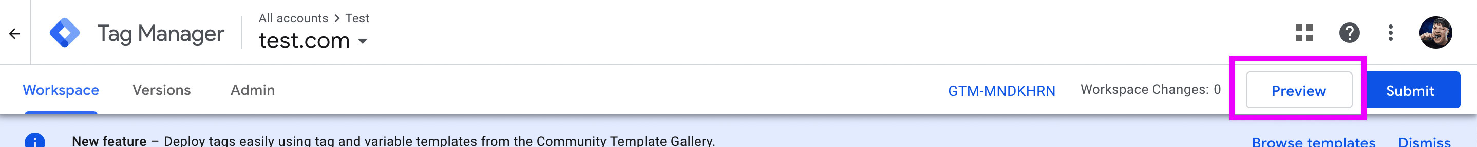 Google Tag Manager preview