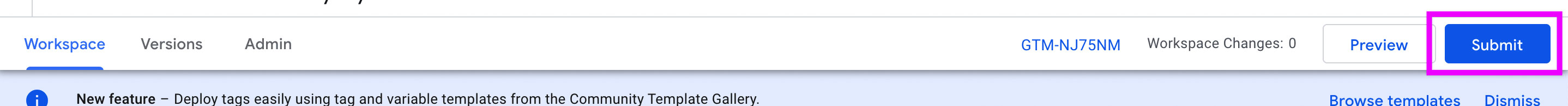 Google Tag Manager submit